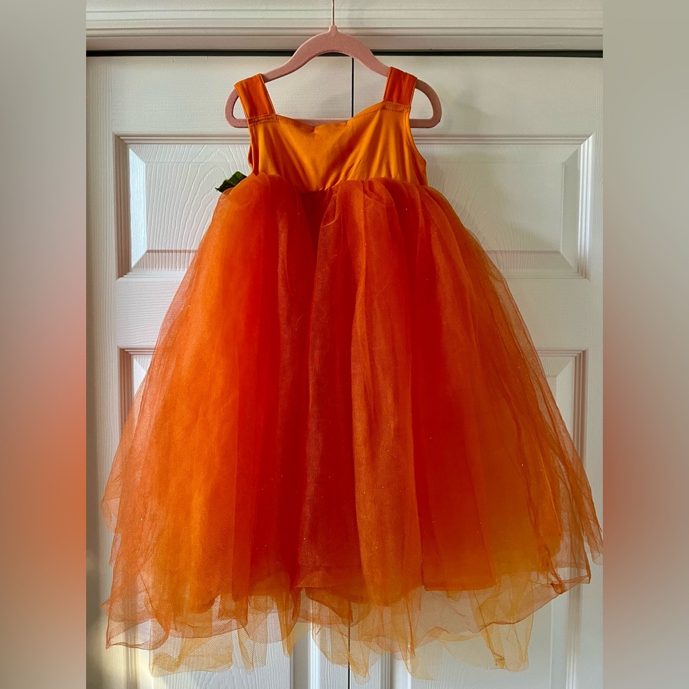 Pottery Barn kids pumpkin costume (Size 4-6) - Picture 3 of 4